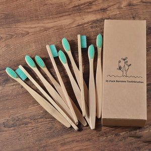 Eco Friendly Bamboo Toothbrush